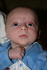 Kristen Pacheco > 1 Month to 2 Months photo